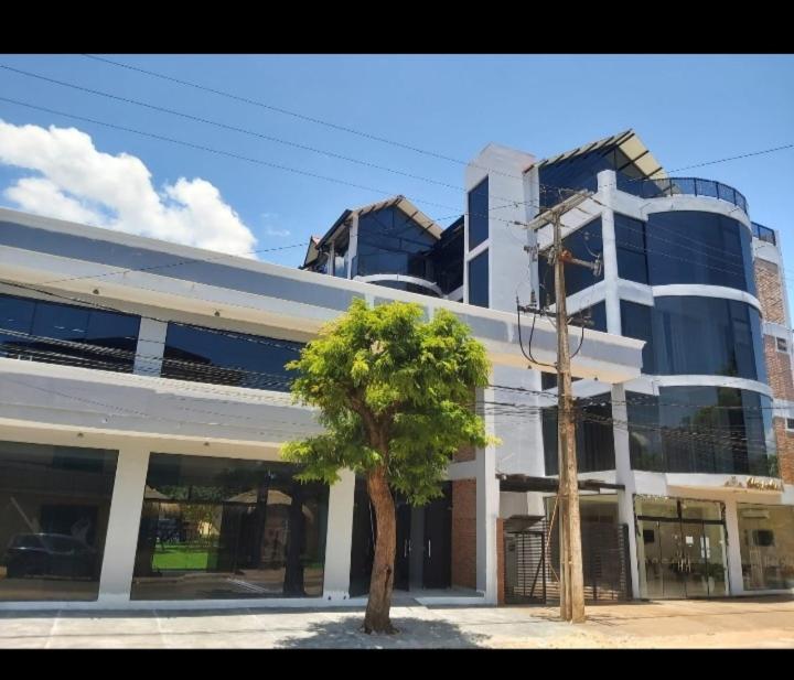 Hotel Ara Ciudad del Este Ngoại thất bức ảnh